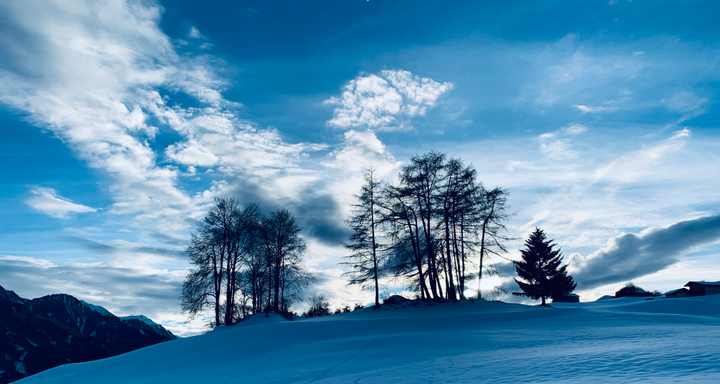 Larches on the snow-covered rise above the village